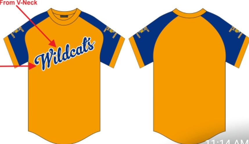 FVSU Crewneck Baseball Jersey image 4