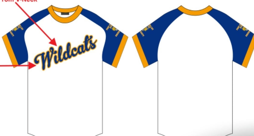 FVSU Crewneck Baseball Jersey image 3